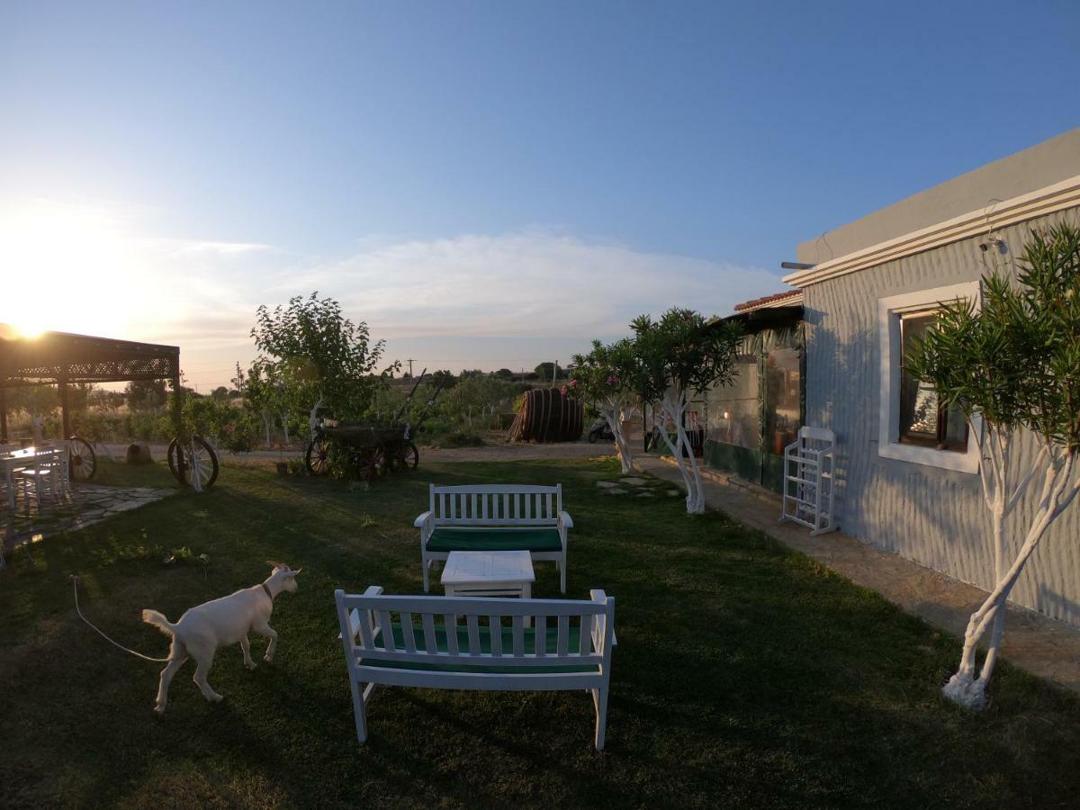 Bagban Bozcaada Bed & Breakfast Exterior photo