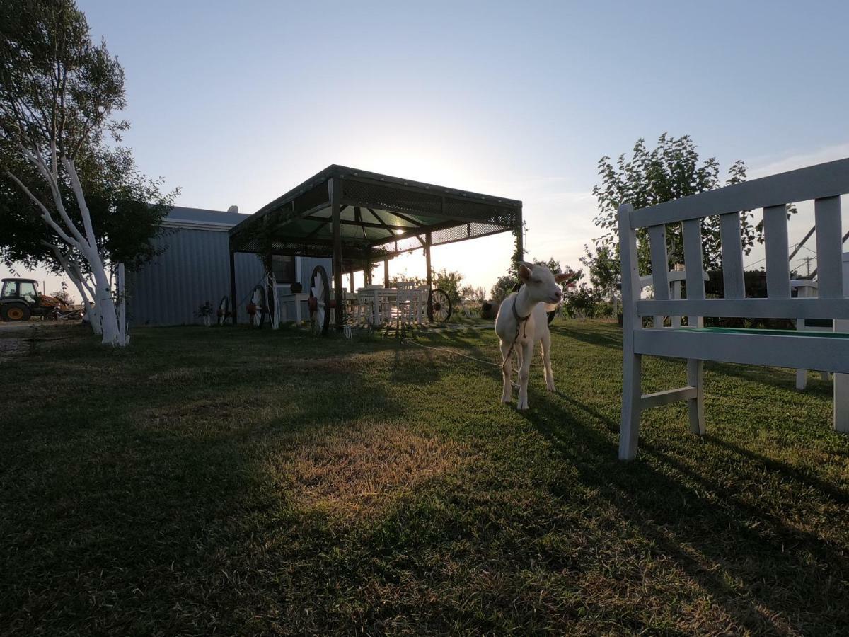 Bagban Bozcaada Bed & Breakfast Exterior photo